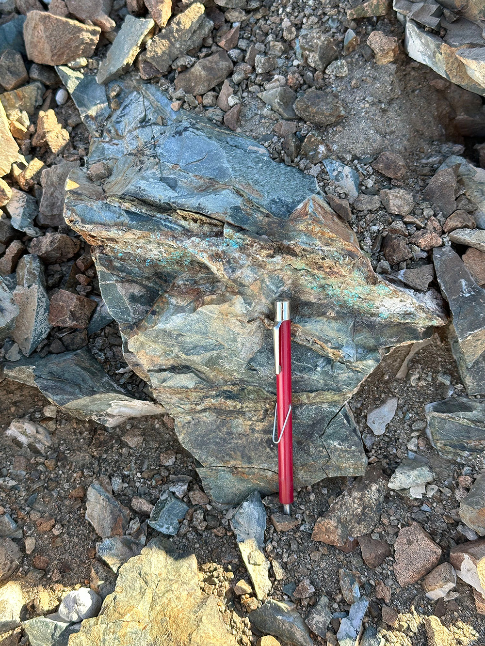 Example of stockwork mineralization exhibiting larger quartz veinlets. The mineralized rock is characterized by multiple veinlets and fractures at various orientations.